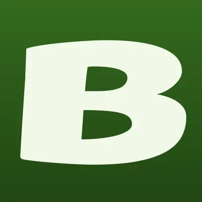 Бюро технической инвентаризации г. Аргун, лого-визитка