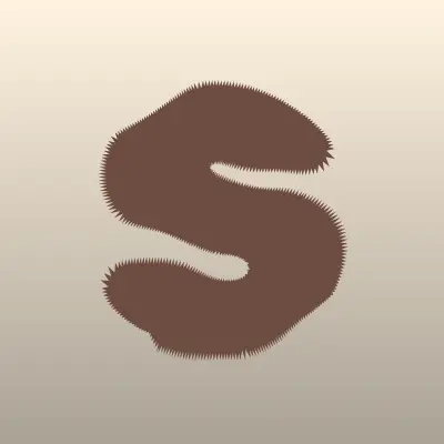 SkySend, сеть платежных терминалов, лого-визитка